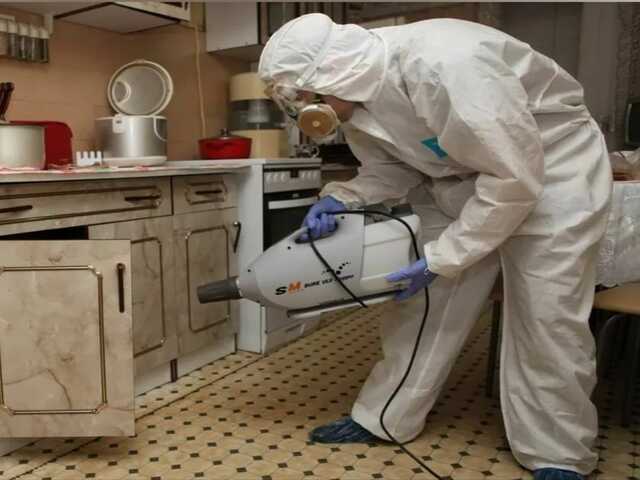 дезинсекция